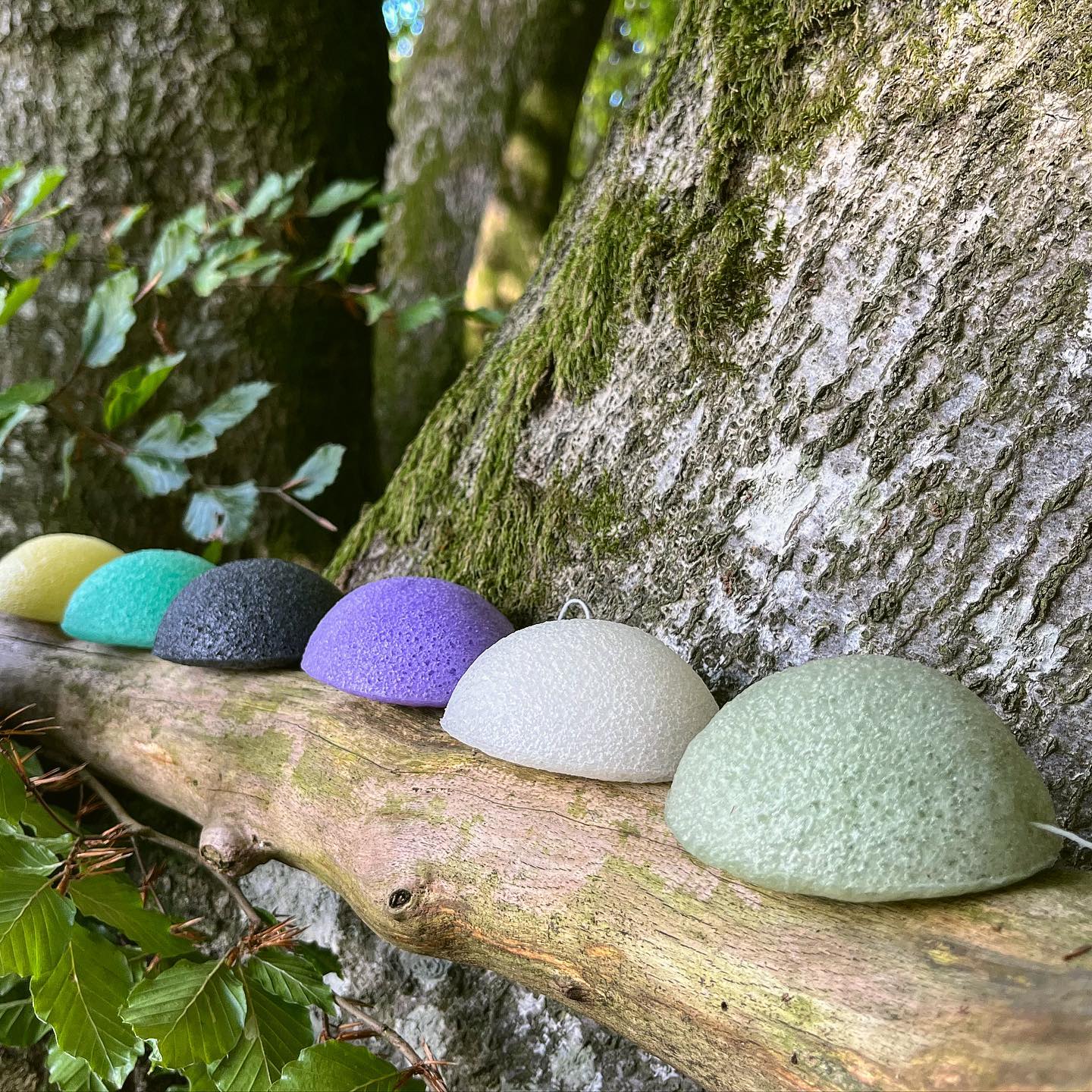 Organic Konjac Svamp Bamboo Charcoal - Uren hud