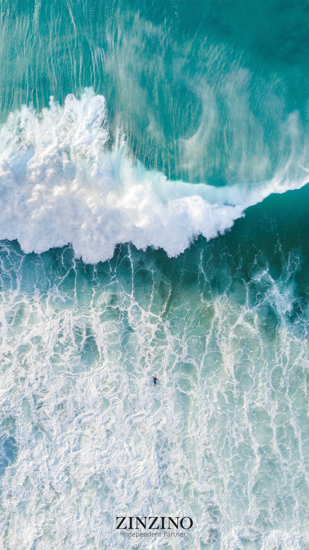 Zinzino BalanceOil+ og Collagen Boozt