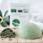 Organic Konjac Svamp - Green Tea