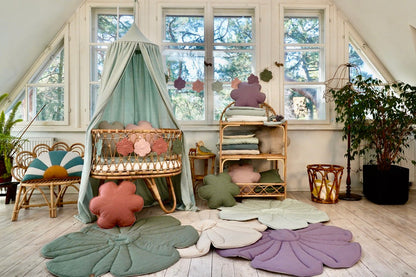 Fløjlsblomst Måtte Violet