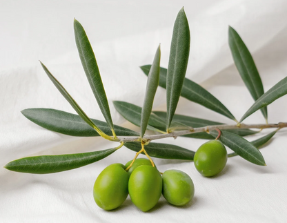 BalanceOil+, 300 ml, Zinzino