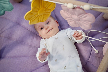 Fløjlsblomst Guirlande Regnbue Buket