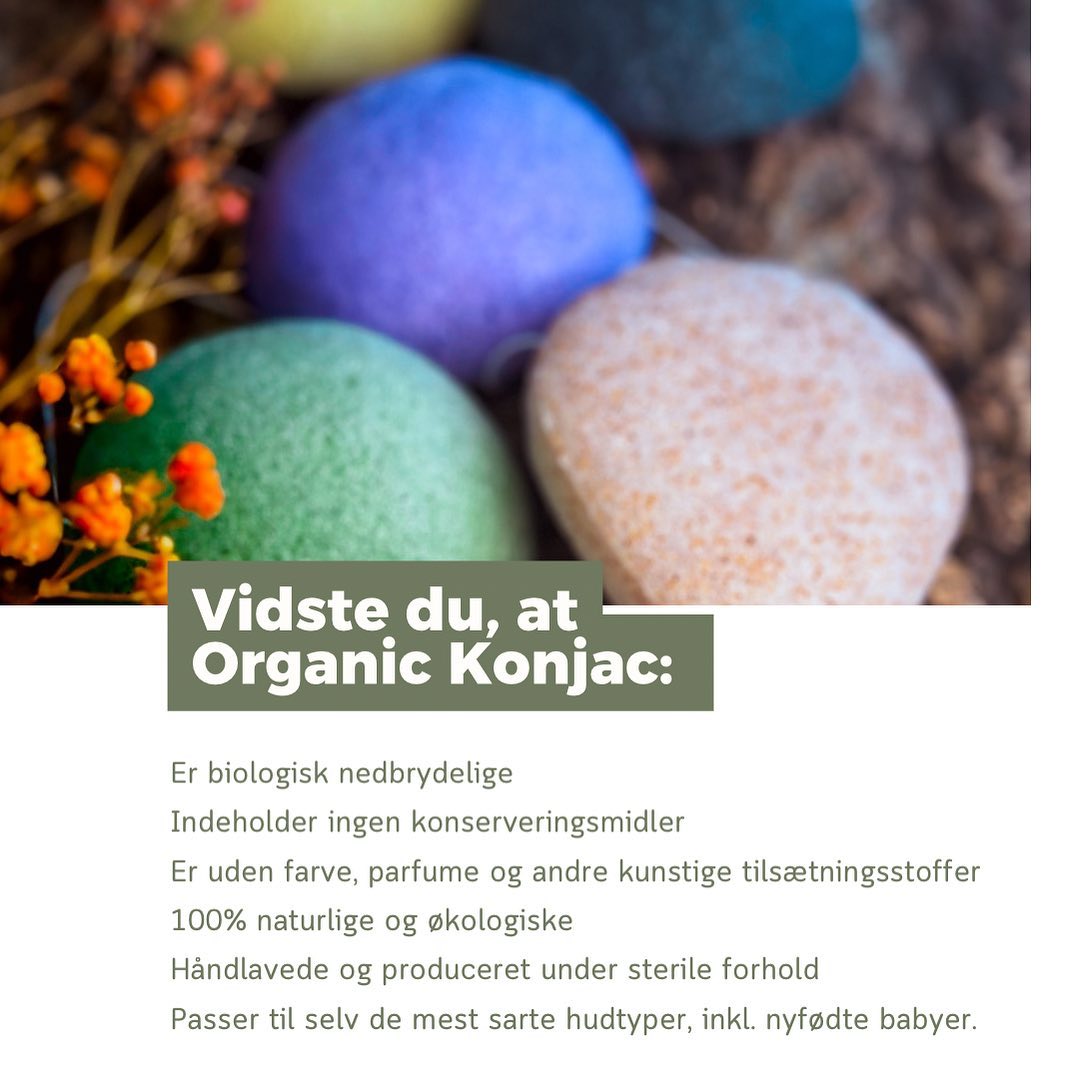 Organic Konjac Svamp Peppermint - Fedtet hud
