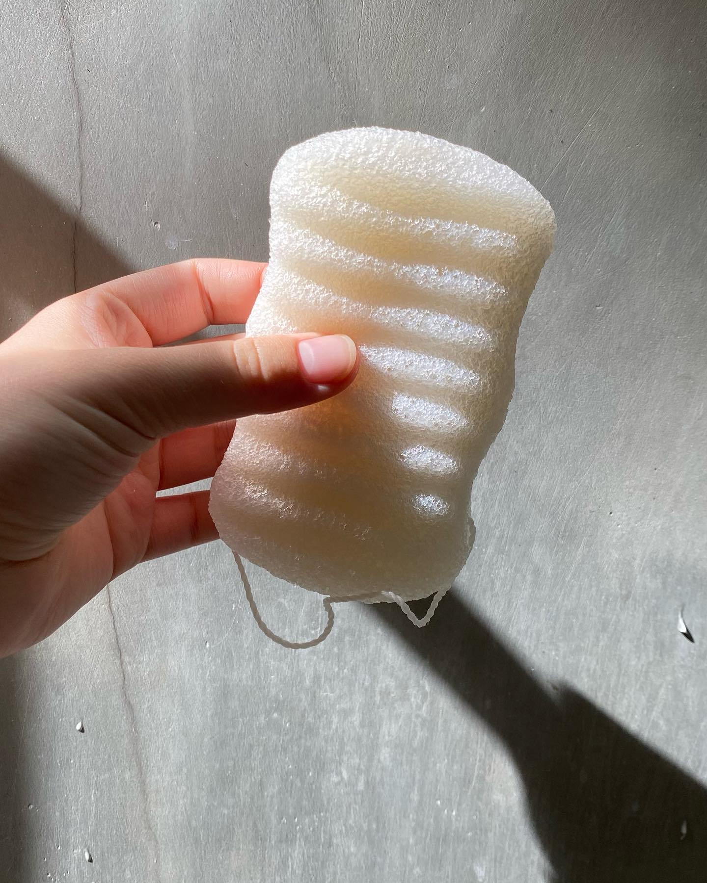 Organic Konjac Svamp Body - Walnut Shell